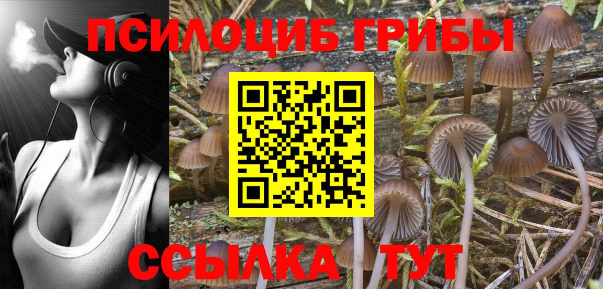 Галлюциногенные грибы мицелий Красноярск