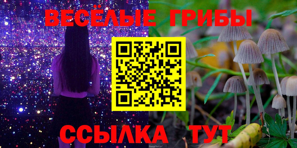 магазин    Вход с VPN  Псилоцибиновые грибы MAGIC MUSHROOMS  Красноярск  Псилоцибиновые грибы Magic Shrooms 